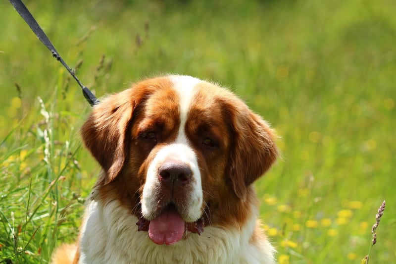 Beethoven